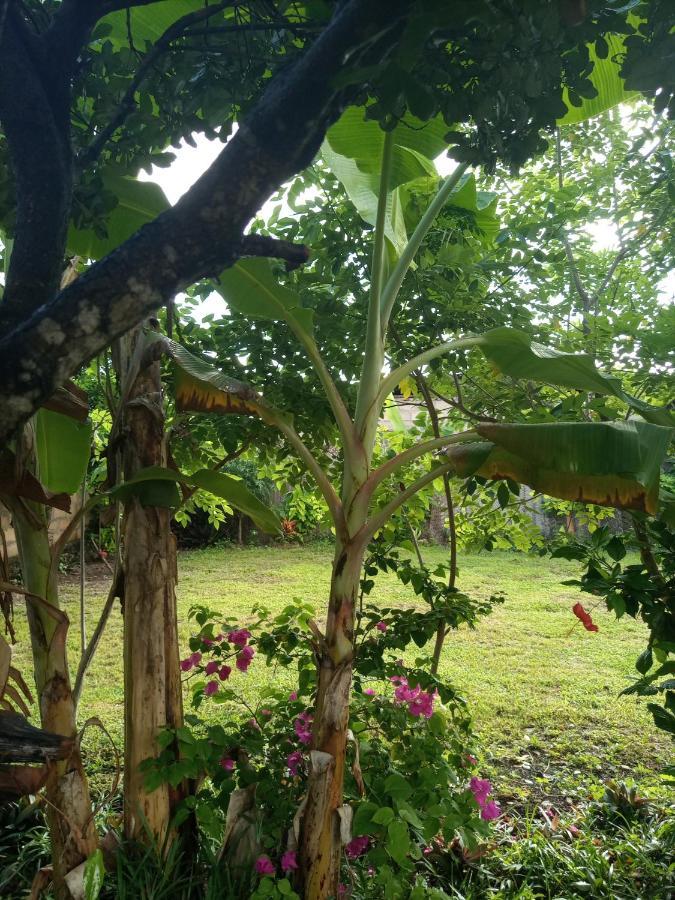 كيوينجوا Sweet Home المظهر الخارجي الصورة