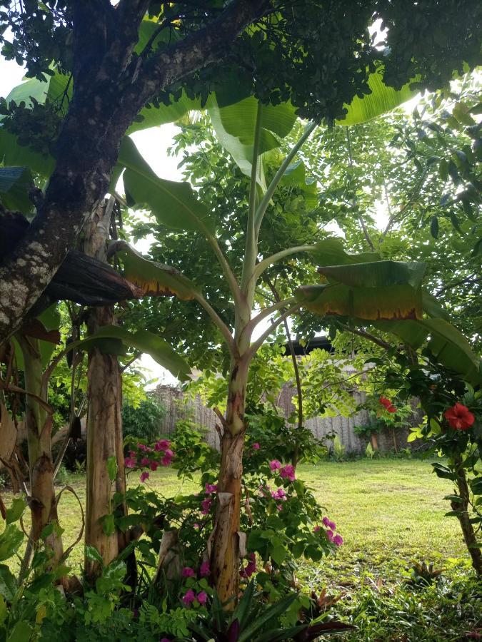 كيوينجوا Sweet Home المظهر الخارجي الصورة