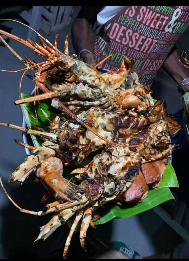 كيوينجوا Sweet Home المظهر الخارجي الصورة