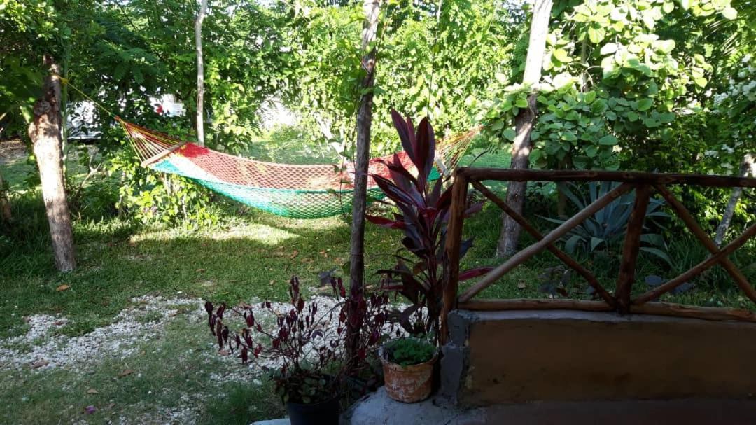 كيوينجوا Sweet Home المظهر الخارجي الصورة