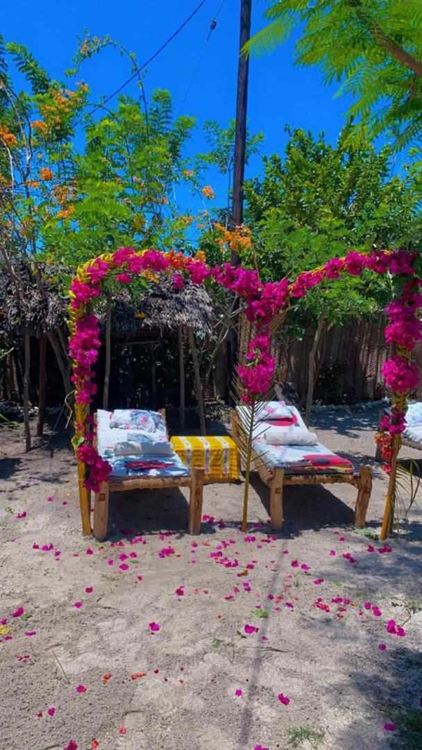 كيوينجوا Sweet Home المظهر الخارجي الصورة
