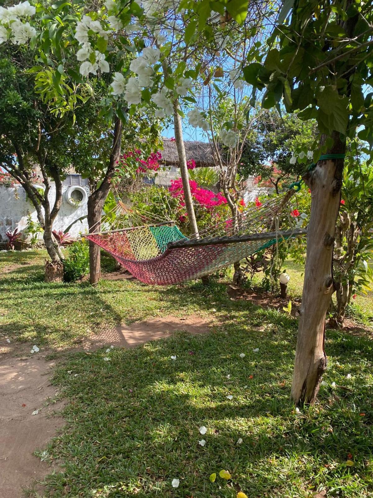 كيوينجوا Sweet Home المظهر الخارجي الصورة